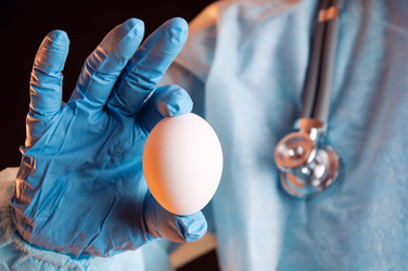 Similar image 1085849