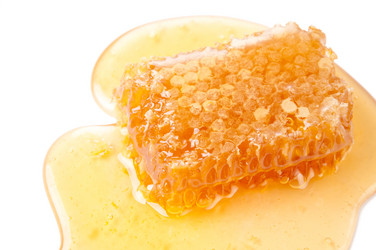 Similar image 1085856