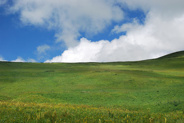 Similar image 1085955