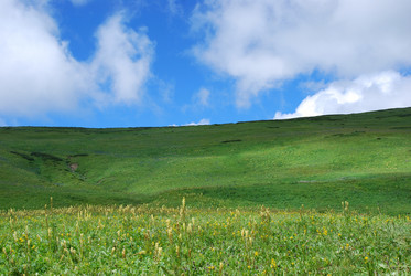 Similar image 1085965