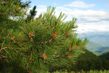 Similar image 1085962