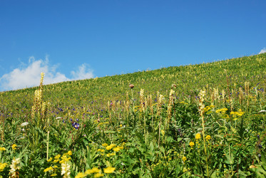 Similar image 1085969