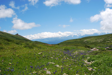 Similar image 1085978