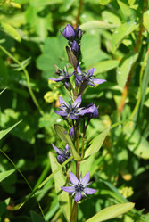 Similar image 1085989