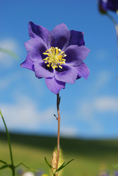 Similar image 1085988