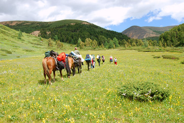 Similar image 1086019