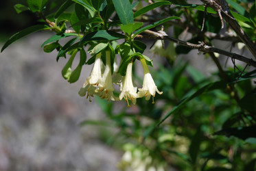 Similar image 1086032