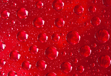 Similar image 1086053