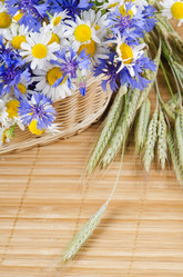 Similar image 1086070