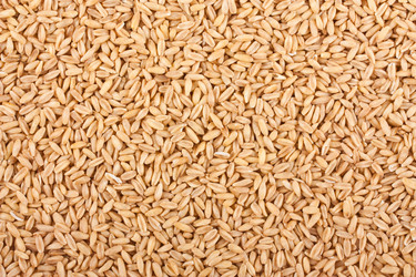 Similar image 1086072