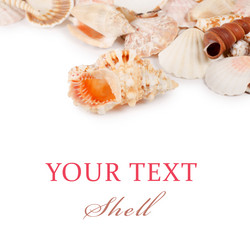 Similar image 1086088