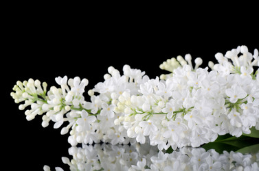 Similar image 1086087