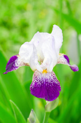 Similar image 1086099