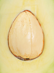 Similar image 1086150