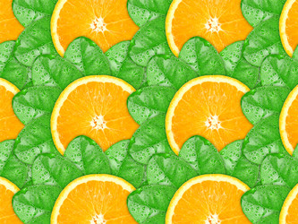 Similar image 1086160