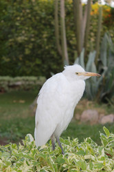 Similar image 1086226