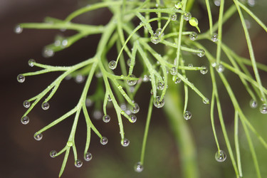 Similar image 1086227