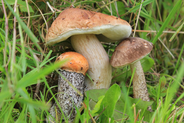 Similar image 1086229