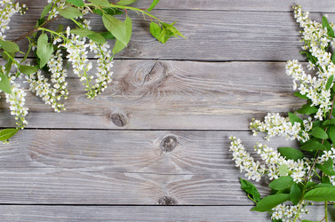 Similar image 1086251