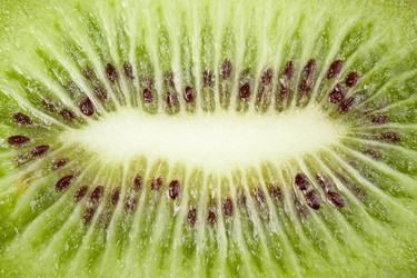 Similar image 1086314