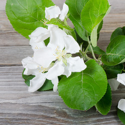 Similar image 1086403