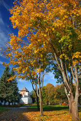 Similar image 1086477