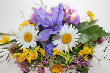 Similar image 1086508