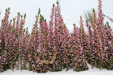 Similar image 1086510