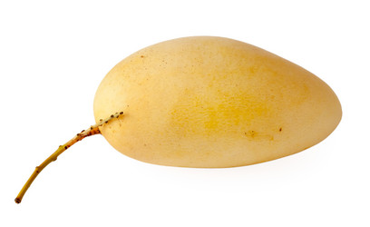 Similar image 1086548