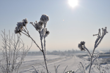 Similar image 1086566