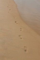 Similar image 1086582