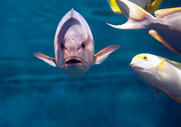 Similar image 1086601