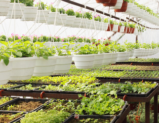 Similar image 1086655