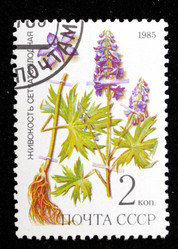 Similar image 1086670