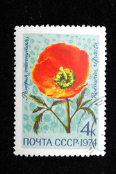 Similar image 1086671