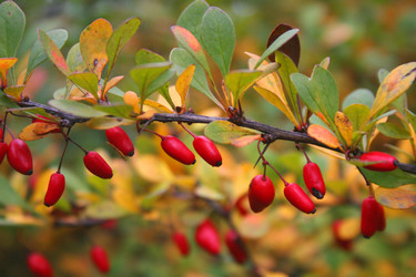 Similar image 1086717