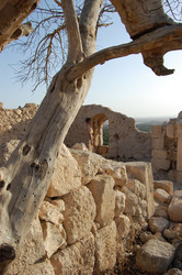 Similar image 1086720