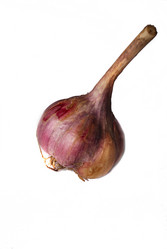 Similar image 1086764