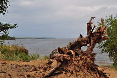 Similar image 1086783