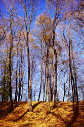 Similar image 1086784