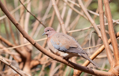 Similar image 1086788