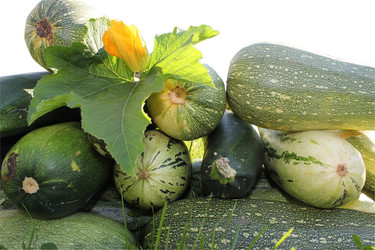 Similar image 1088813