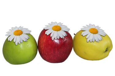 Similar image 1088809