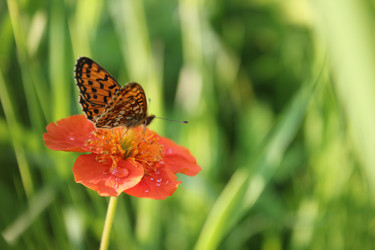 Similar image 1088816