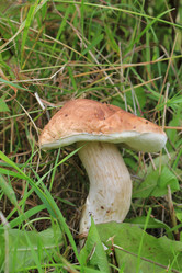 Similar image 1088817