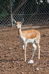 Similar image 1088823