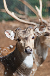 Similar image 1088824