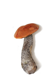 Similar image 1088830