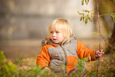 Similar image 1089143