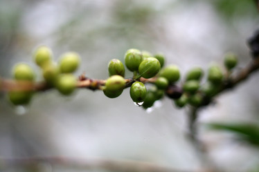 Similar image 1089172